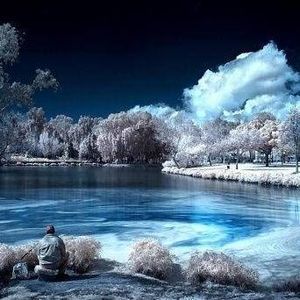 Meet your Posher, Shirley